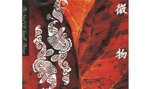 微物之神读后感