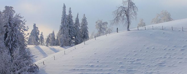 冬天的雪