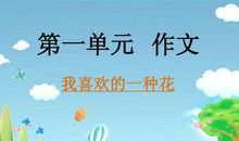 三年级作文种花