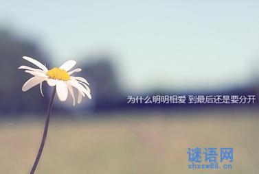 说再见