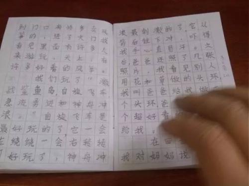 春季郊游建议组成