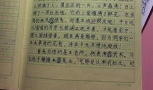 寒假日记400字初中