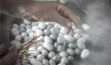 触动我心灵的瞬间