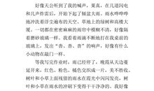 下雨了作文400字