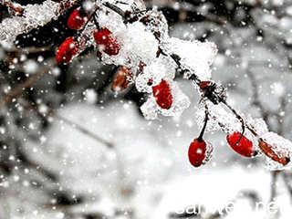600个单词描述雪