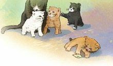 母亲的故事读后感