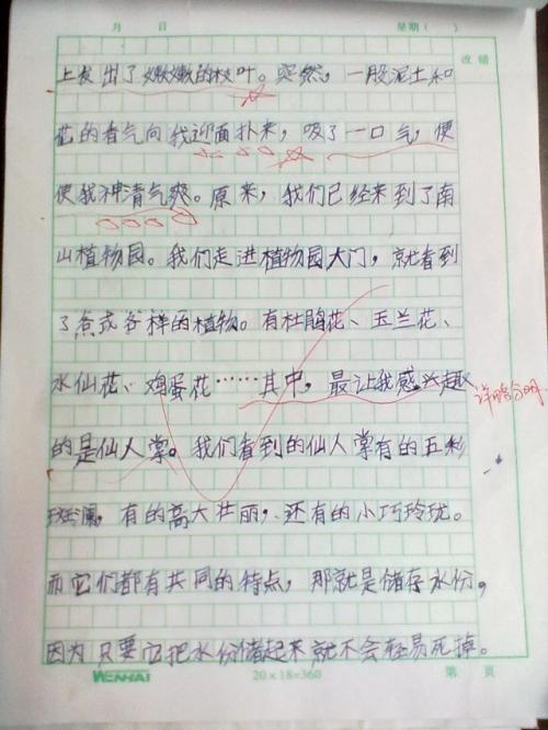 二年级作文春游