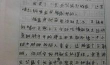 精彩的一天作文500字