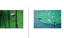 陈迹清欢读后感