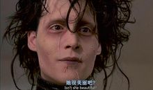 剪刀手爱德华观后感