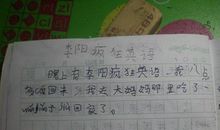 暑假日记100字
