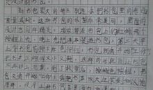 未来的书包300字