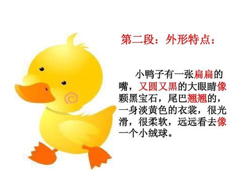 可爱的小鸭组成