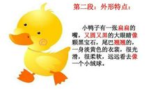 可爱的小鸭作文