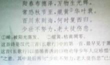 成长中我学会了珍惜作文