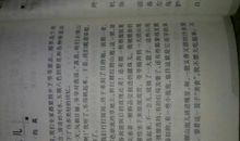 暑假里的一件事作文300字