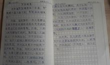 拜年作文