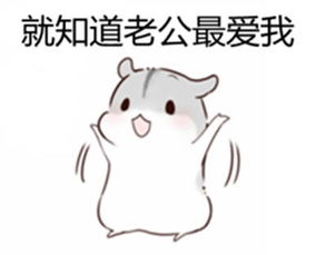 如果我向丈夫道歉