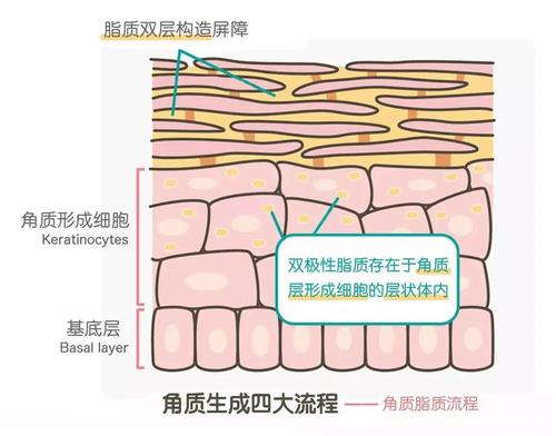 不会改变的是坚持构图