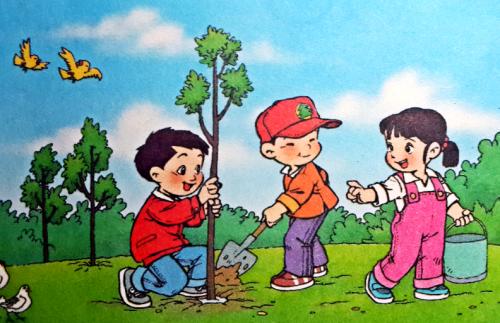小学植树节组成