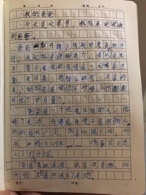 春季郊游的组成