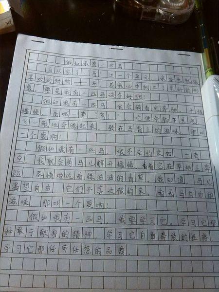 关于马成分的400个单词