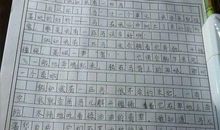 关于马的作文400字