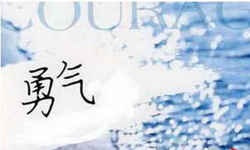 经验和勇气主题组成