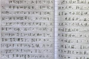 小学春游组成