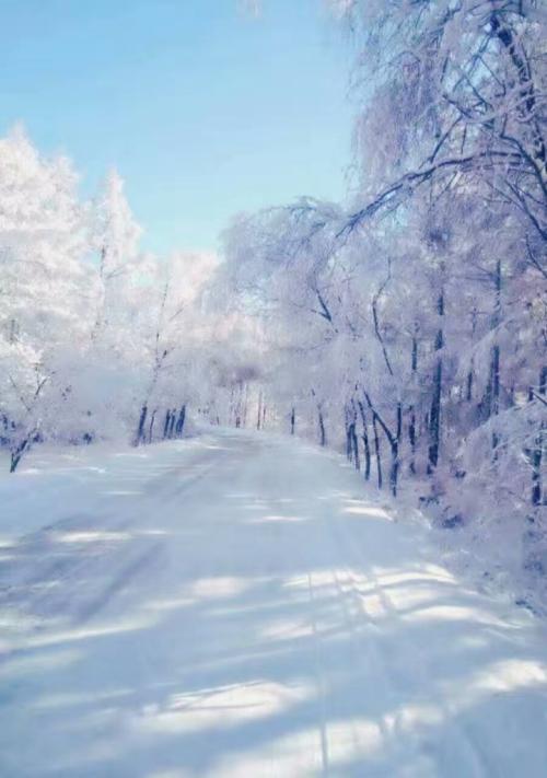 北部积雪