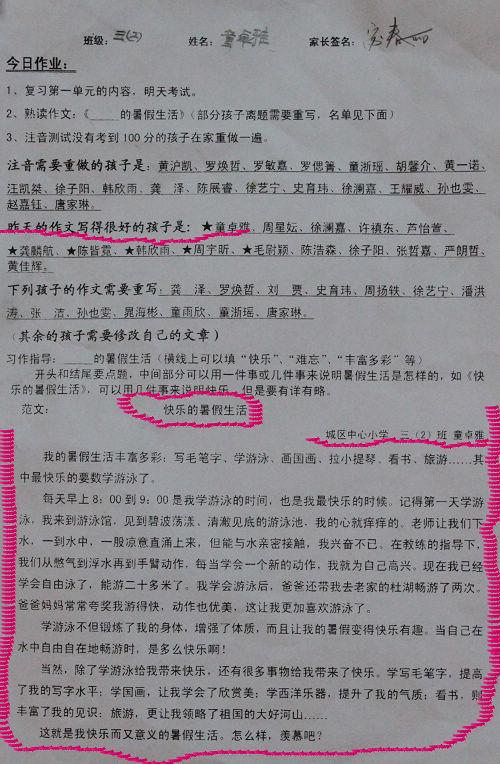 精彩的夏日生活构成