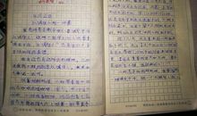 精彩的时刻作文500字