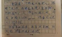 有关春游的作文