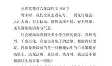 元宵节作文800字