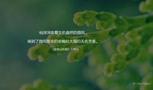 橘子仙女读后感