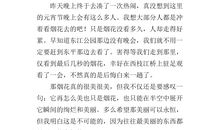 关于元宵节的作文500字