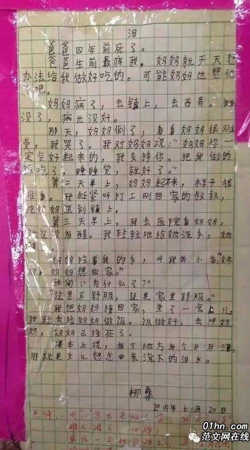 母亲烹饪组成