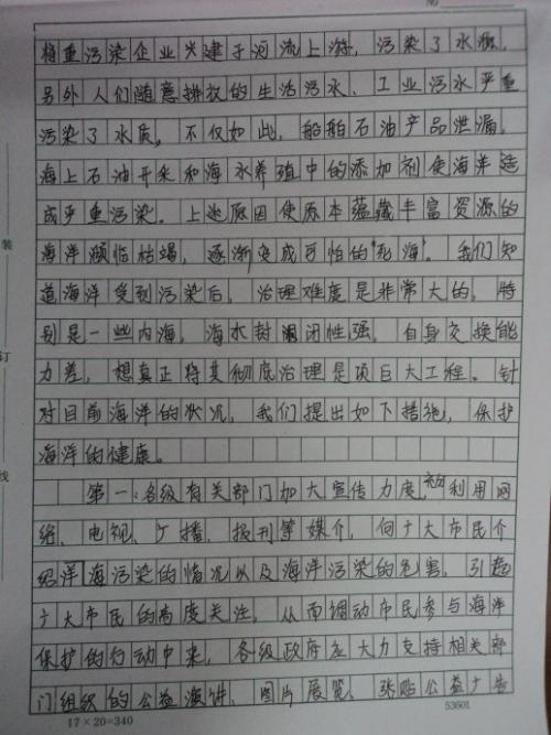 三年级作文找宝
