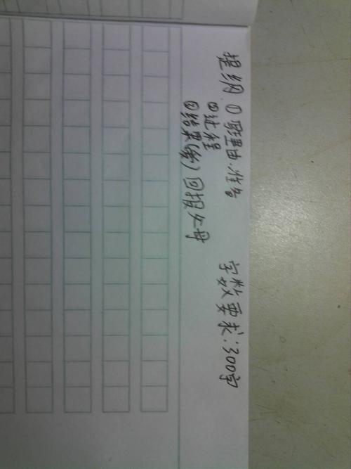 心中刻有300字的记忆
