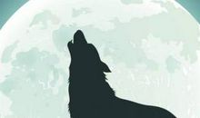 《生命不息，折腾不止》读后感