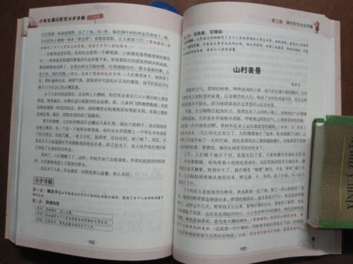 菊花四年级组成