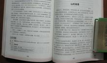 菊花四年级作文