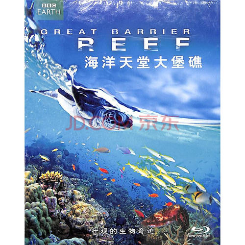 海洋之友的意见