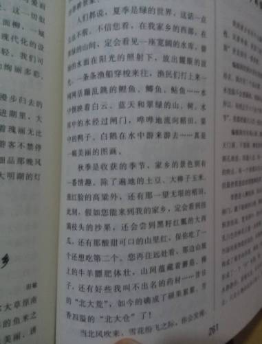 一缕春风拂面