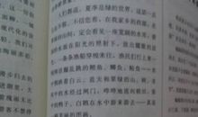 吹来一缕春风作文