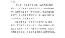 说说我自己作文