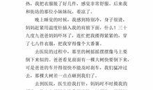 母亲的爱作文300字
