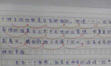 雷死人的小学生作文 一篇作文气死99个老师