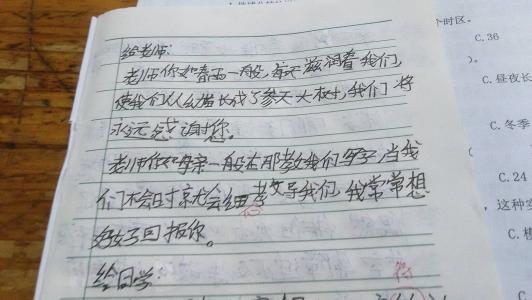 我心中600字的春天
