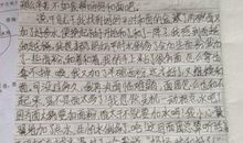 关于元旦作文